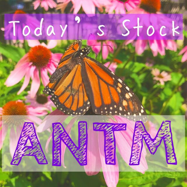 Today’s Stock 🌈
Anthem is one of the health insurance providers in US. 

They are licensees of Blue Cross Blue Shield in over 15 states. 

They have such a beautiful balance sheet, stable revenue and cash flow. 

I bought them last week when it touched 200MA in daily chart, but I think it’s not late yet to buy for something long term investment 😉

#stocktobuy #longterminvesting #usstock #anthem #technicalanalysis #stocktoinvest