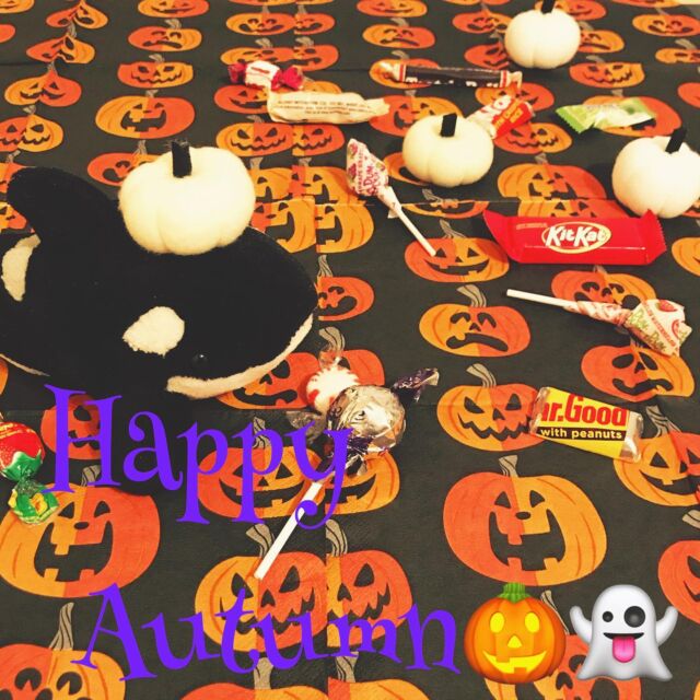 I supposed to post this photo yesterday but I was too busy to trick or treat with my son. So Happy Autumn to all 🎃🍁❤️
#happyautumn #halloween #fall #trickortreat #trading #investing